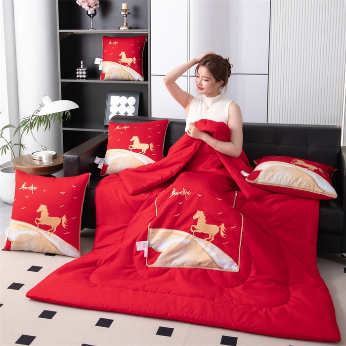 91家纺网 家纺一手货源 找家纺 （总）照世家纺 2025新款全棉A类马上成功抱枕被（控价是优惠券后不能低于40的79,45的99,50的119,55的149,60的179）