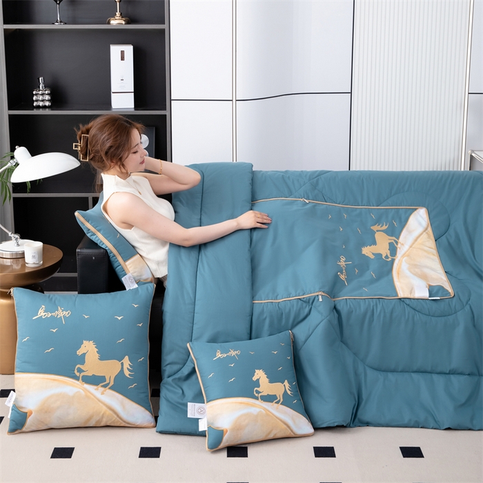 91家纺网 家纺一手货源 找家纺 照世家纺 2025新款全棉A类马上成功抱枕被 湖蓝