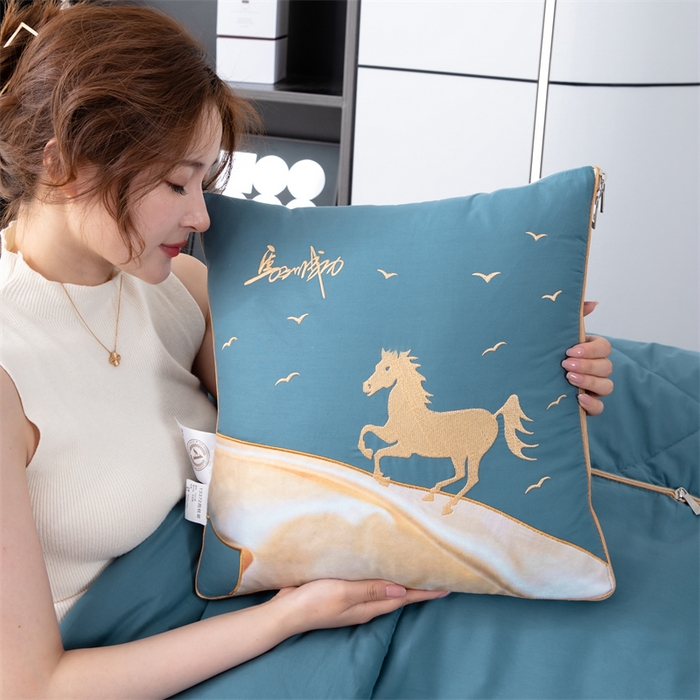 91家纺网 家纺一手货源 找家纺 照世家纺 2025新款全棉A类马上成功抱枕被 湖蓝