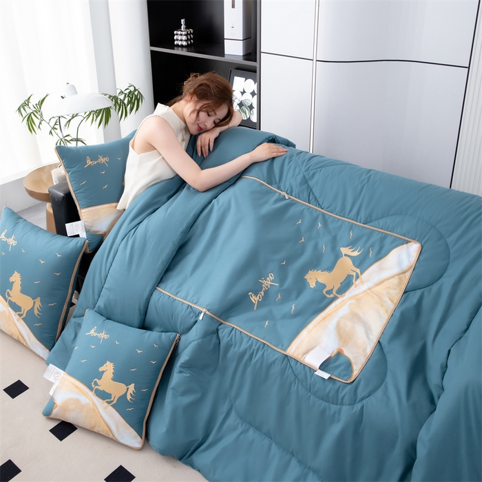 91家纺网 家纺一手货源 找家纺 照世家纺 2025新款全棉A类马上成功抱枕被 湖蓝