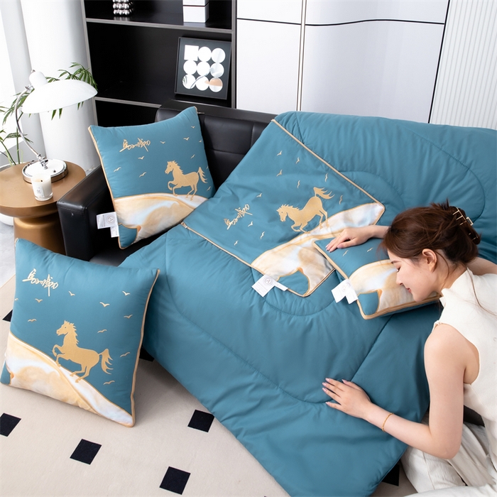 91家纺网 家纺一手货源 找家纺 照世家纺 2025新款全棉A类马上成功抱枕被 湖蓝