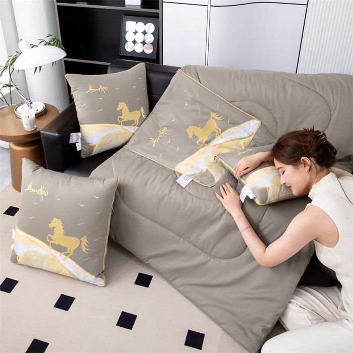 91家纺网 家纺一手货源 找家纺 照世家纺 2025新款全棉A类马上成功抱枕被 咖色