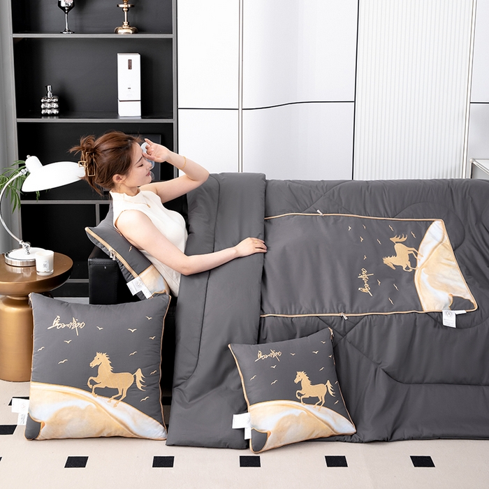 91家纺网 家纺一手货源 找家纺 照世家纺 2025新款全棉A类马上成功抱枕被 深灰