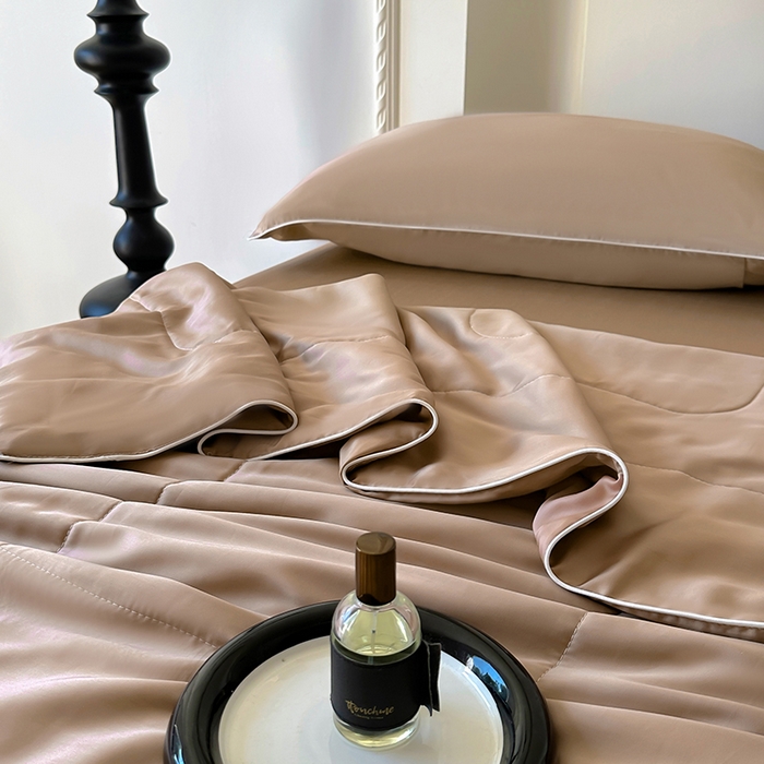 91家纺网 家纺一手货源 找家纺 百寐 2025新款60S兰精天丝夏被系列 冰咖啡