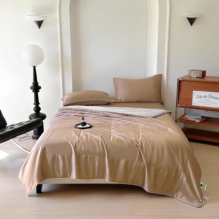 91家纺网 家纺一手货源 找家纺 （总）百寐 2025新款60S兰精天丝夏被系列