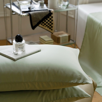 91家纺网 家纺一手货源 找家纺 （总）咏绒家纺工厂店 2025新款60支奥地利兰精天丝单品系列--单枕套