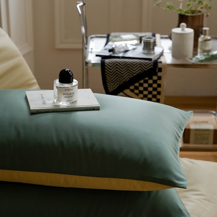 91家纺网 家纺一手货源 找家纺 （总）咏绒家纺工厂店 2025新款60支奥地利兰精天丝单品系列--单枕套