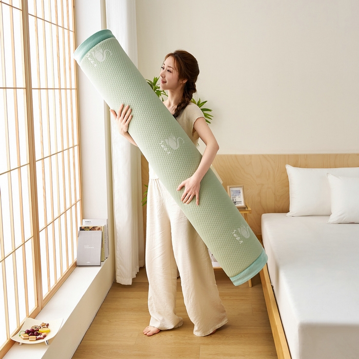 91家纺网 家纺一手货源 找家纺 锦丝钰床垫 2025新款真凉感冰豆豆天鹅系列地垫 冰豆豆-天鹅绿