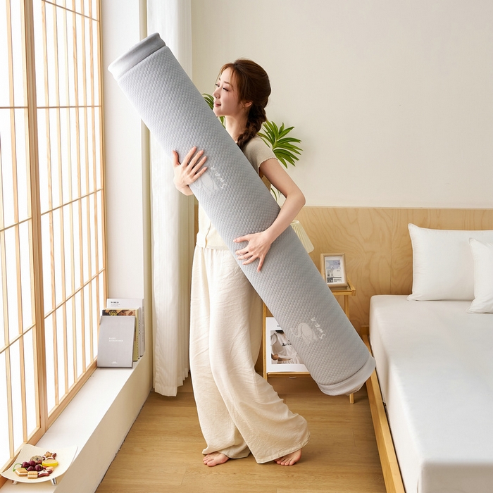 91家纺网 家纺一手货源 找家纺 锦丝钰床垫 2025新款真凉感冰豆豆天鹅系列地垫 冰豆豆-天鹅灰