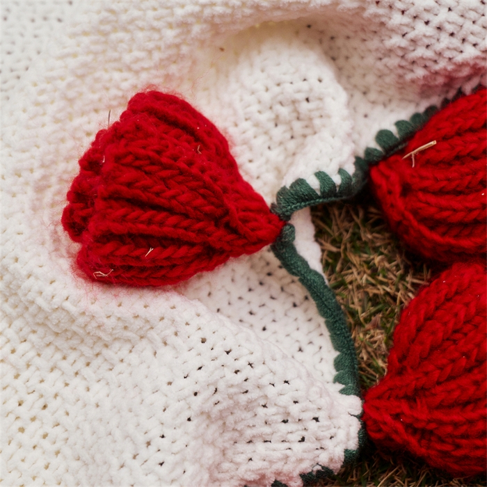 91家纺网 家纺一手货源 找家纺 （总）暖绵绵2025新款玫瑰花束毯-桑薇最低零售价168元