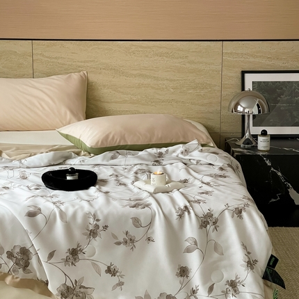 顾里2025新款天丝莱赛尔夏被 罗曼