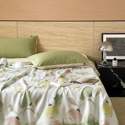 顾里2025新款天丝莱赛尔夏被 娇韵