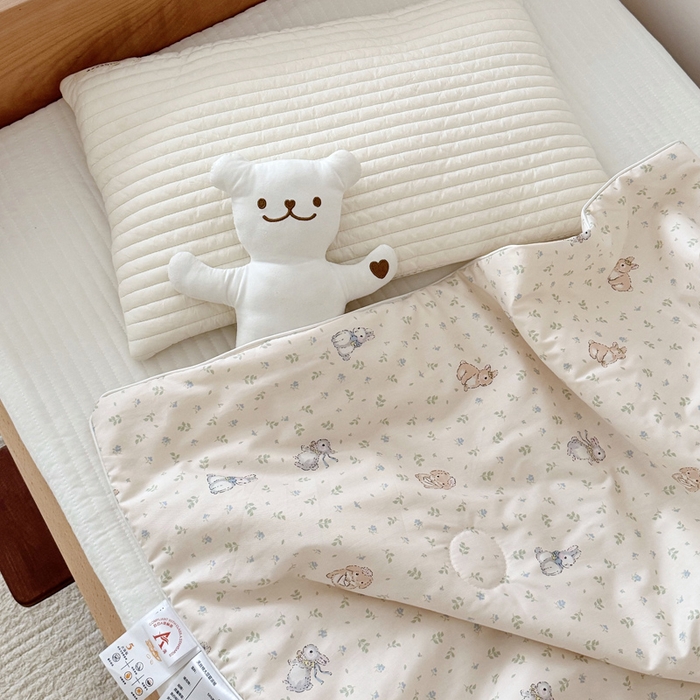 91家纺网 家纺一手货源 找家纺 BOSS 2025新款天丝棉大豆夏凉被夏被空调被儿童盖毯 彼得兔