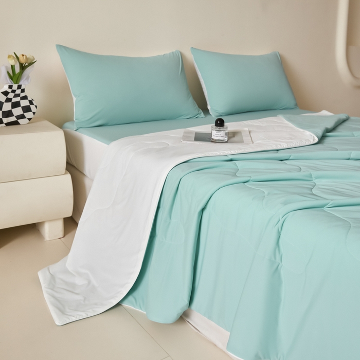 91家纺网 家纺一手货源 找家纺 圣梦莱羽绒家纺 2025春夏新款A类锦氨凉感丝高克重冰丝夏凉被亲肤丝绸被芯 夏至马卡龙