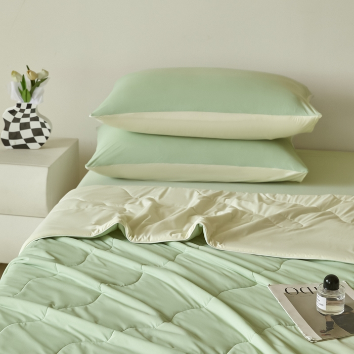 91家纺网 家纺一手货源 找家纺 圣梦莱羽绒家纺 2025春夏新款A类锦氨凉感丝高克重冰丝夏凉被亲肤丝绸被芯 奶油薄荷绿