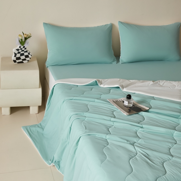 91家纺网 家纺一手货源 找家纺 圣梦莱羽绒家纺 2025春夏新款A类锦氨凉感丝高克重冰丝夏凉被亲肤丝绸被芯 夏至马卡龙