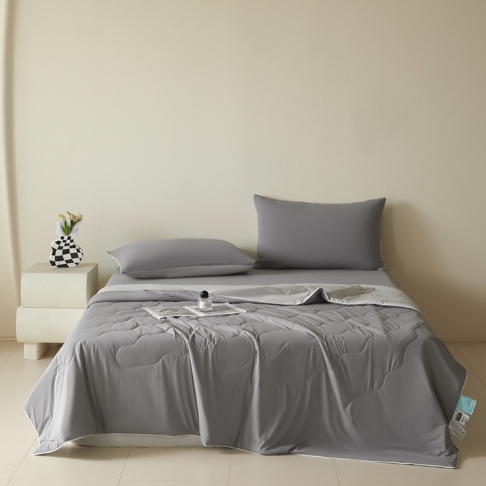 圣梦莱羽绒家纺 2025春夏新款A类锦氨凉感丝高克重冰丝夏凉被亲肤丝绸被芯 清冷月亮灰