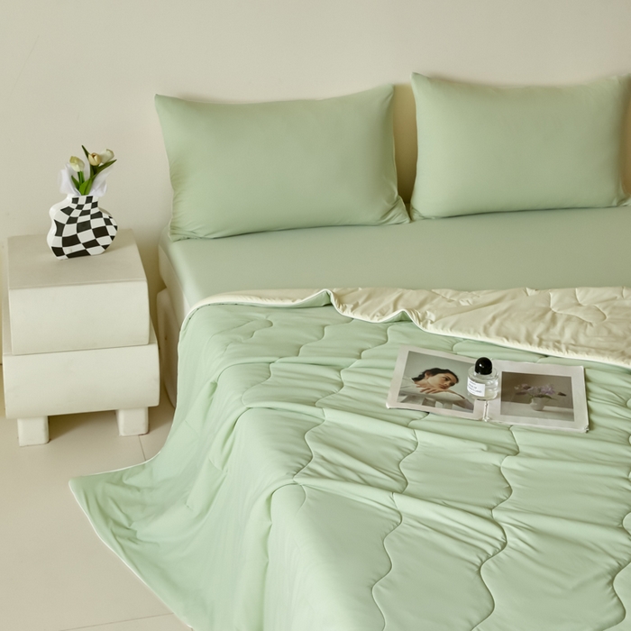 91家纺网 家纺一手货源 找家纺 圣梦莱羽绒家纺 2025春夏新款A类锦氨凉感丝高克重冰丝夏凉被亲肤丝绸被芯 奶油薄荷绿