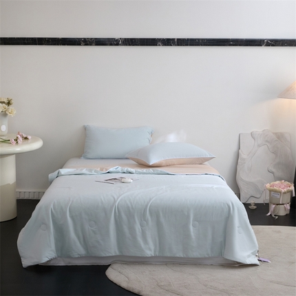 91家纺网 家纺一手货源 找家纺 （总）头等舱  2025新款锦氨&全棉双层纱一被两用A类20大豆7A抗菌夏被（配礼盒）