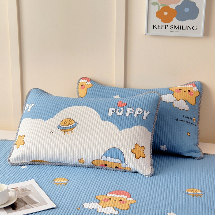 91家纺网 家纺一手货源 找家纺 情煊家纺 2025新款双面全棉床盖夹棉床盖三件套