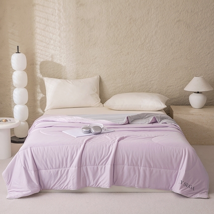 91家纺网 家纺一手货源 找家纺 茧羽世家 2025新款沁柔双镜抗菌系列夏被夏凉被空调被 风信紫拼灰