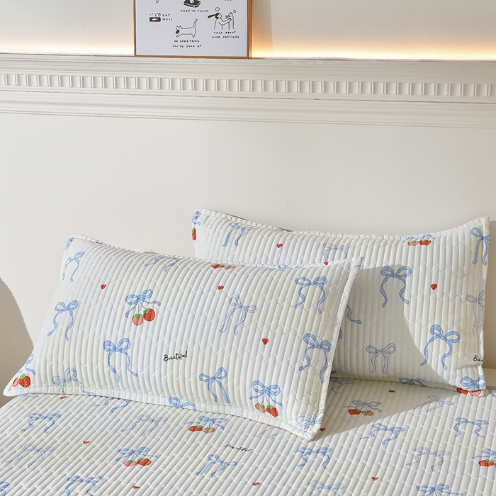 91家纺网 家纺一手货源 找家纺 床笠人家 2025新款亲肤双面磨毛夹棉床盖 草莓乐园