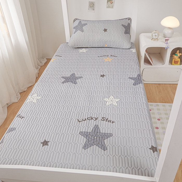 91家纺网 家纺一手货源 找家纺 （总）爱思凯家纺 2025新款【学生】印花清新乳胶条席