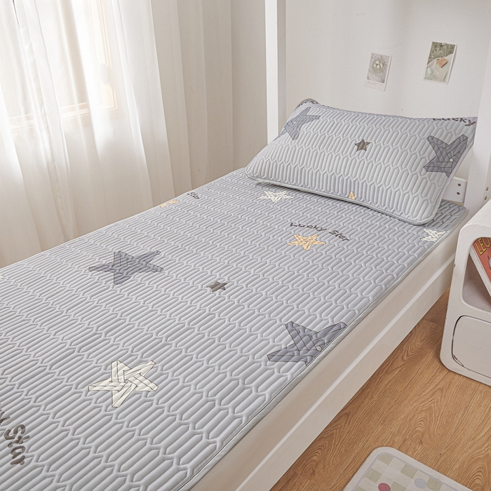 91家纺网 家纺一手货源 找家纺 （总）爱思凯家纺 2025新款【学生】印花清新乳胶条席