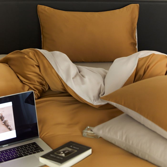 91家纺网 家纺一手货源 找家纺 禾时  2025新款奥地利进口兰精天丝莱赛尔四件套纯色双拼三件套 敦煌色-曙光银