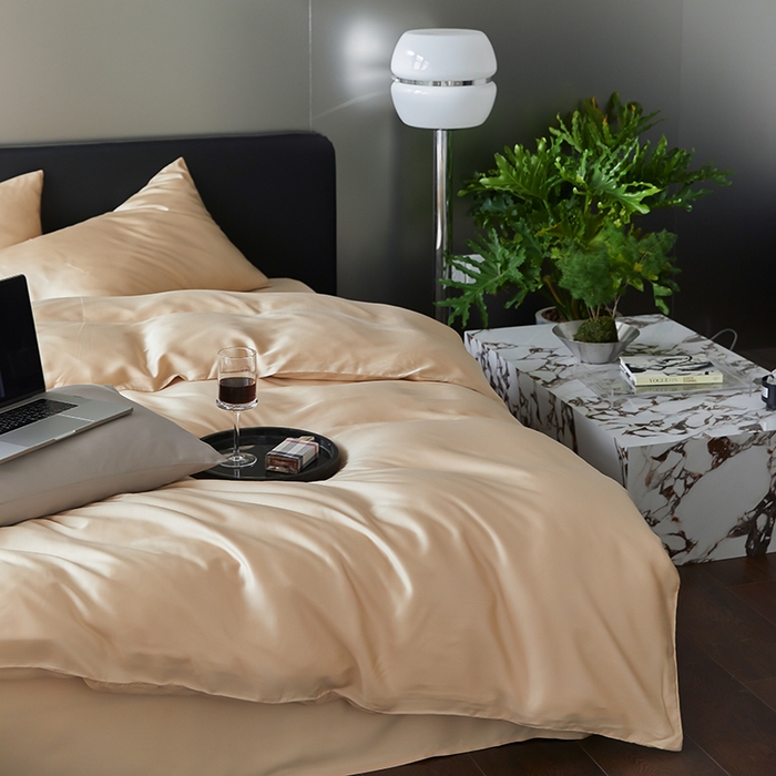 91家纺网 家纺一手货源 找家纺 禾时  2025新款奥地利进口兰精天丝莱赛尔四件套纯色双拼三件套 沙茶色