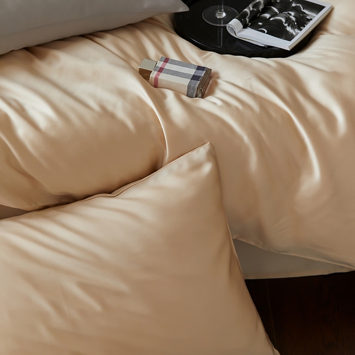 91家纺网 家纺一手货源 找家纺 禾时  2025新款奥地利进口兰精天丝莱赛尔四件套纯色双拼三件套 沙茶色