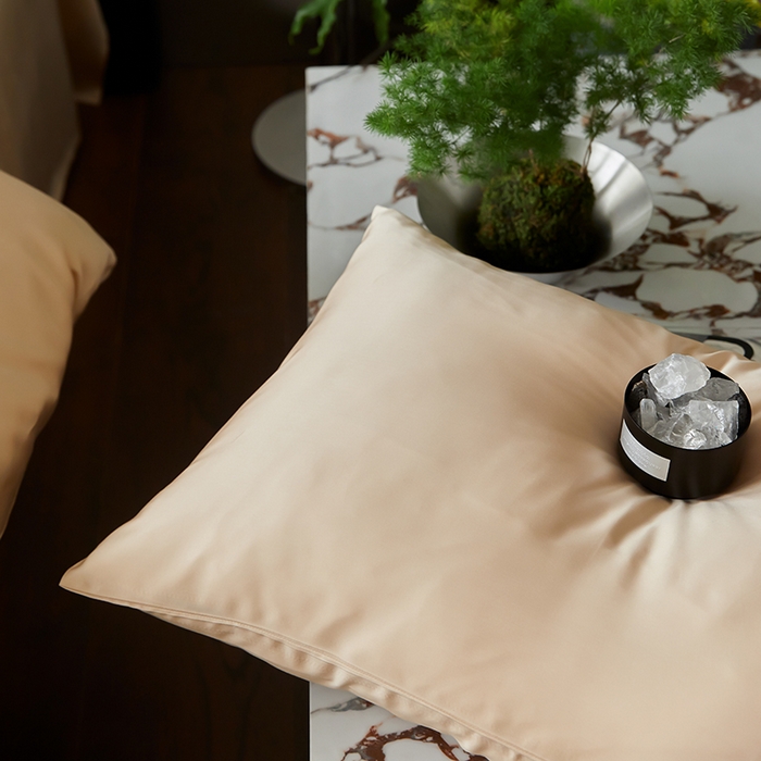 91家纺网 家纺一手货源 找家纺 禾时  2025新款奥地利进口兰精天丝莱赛尔四件套纯色双拼三件套 沙茶色