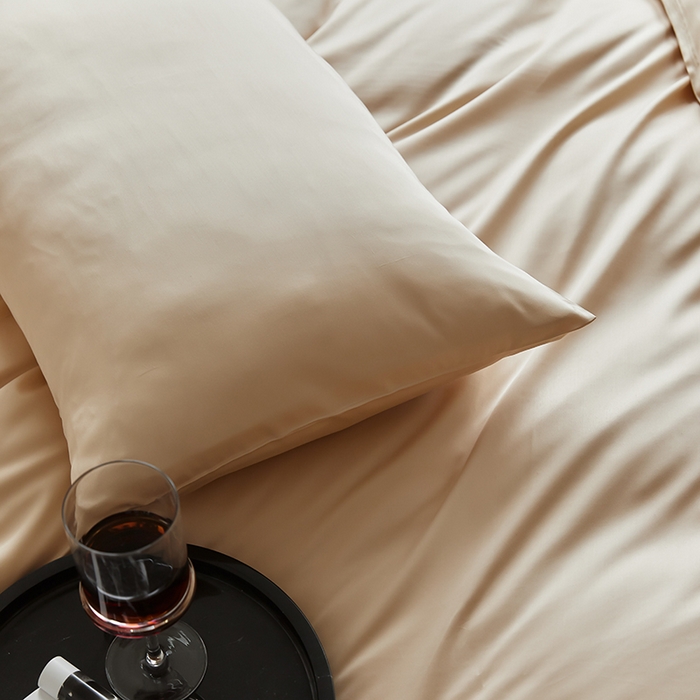 91家纺网 家纺一手货源 找家纺 禾时  2025新款奥地利进口兰精天丝莱赛尔四件套纯色双拼三件套 沙茶色