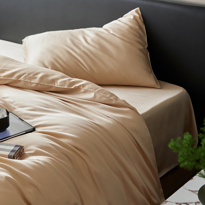 91家纺网 家纺一手货源 找家纺 禾时  2025新款奥地利进口兰精天丝莱赛尔四件套纯色双拼三件套 沙茶色