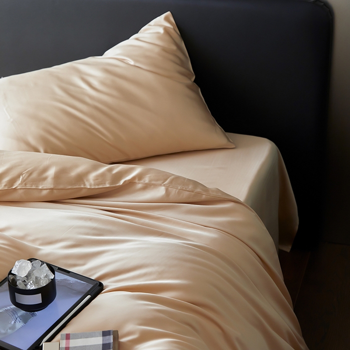 91家纺网 家纺一手货源 找家纺 禾时  2025新款奥地利进口兰精天丝莱赛尔四件套纯色双拼三件套 沙茶色