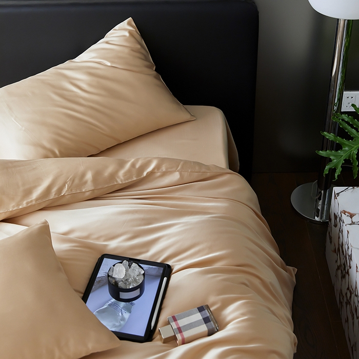 91家纺网 家纺一手货源 找家纺 禾时  2025新款奥地利进口兰精天丝莱赛尔四件套纯色双拼三件套 沙茶色