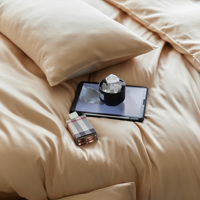 91家纺网 家纺一手货源 找家纺 禾时  2025新款奥地利进口兰精天丝莱赛尔四件套纯色双拼三件套 沙茶色