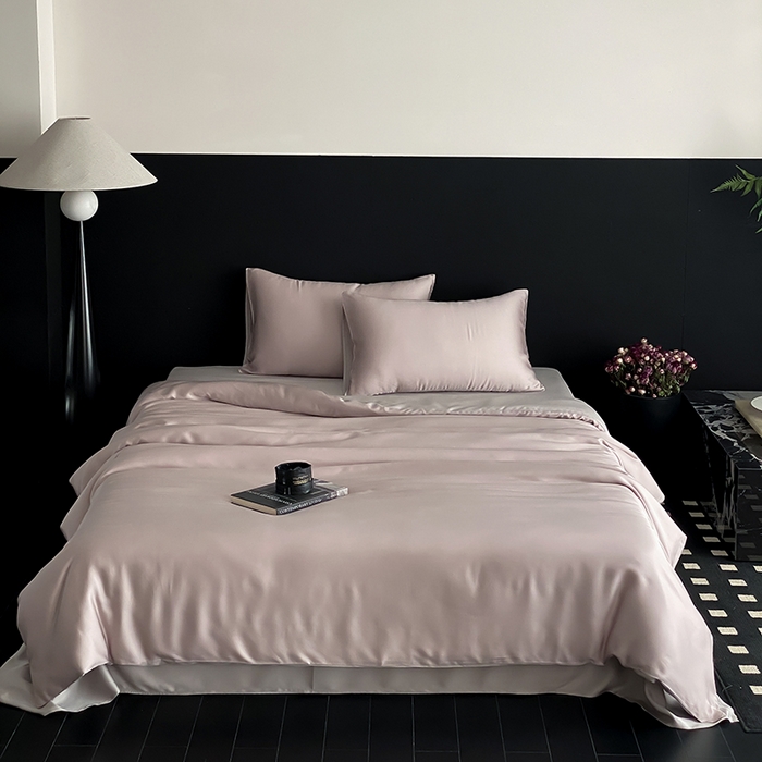 禾时  2025新款奥地利进口兰精天丝莱赛尔四件套纯色双拼三件套 夜影凝香-霜华银