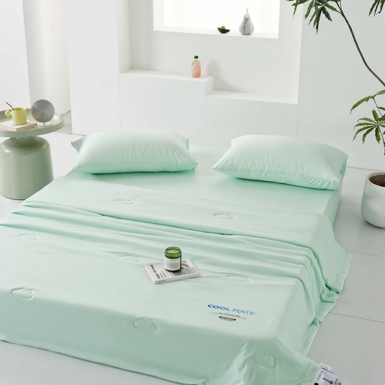 （总）LADYCOCO可可家居 2025新款PE冰锦丝语夏凉被