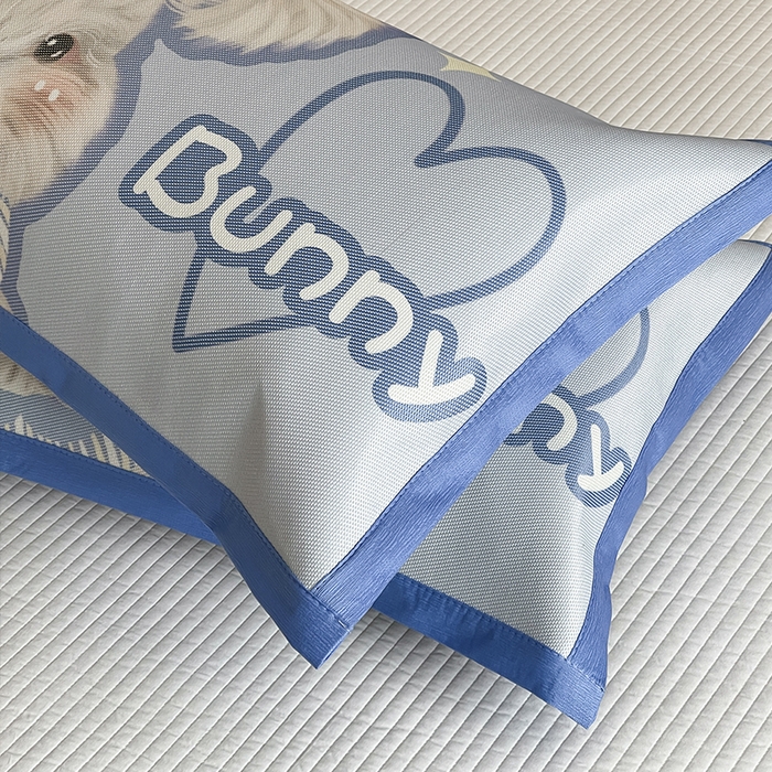 91家纺网 家纺一手货源 找家纺 安哆啦家纺 2025新款A类大版印花冰藤儿童幼儿园卡通萌宠系列凉席单枕套 小兔叽