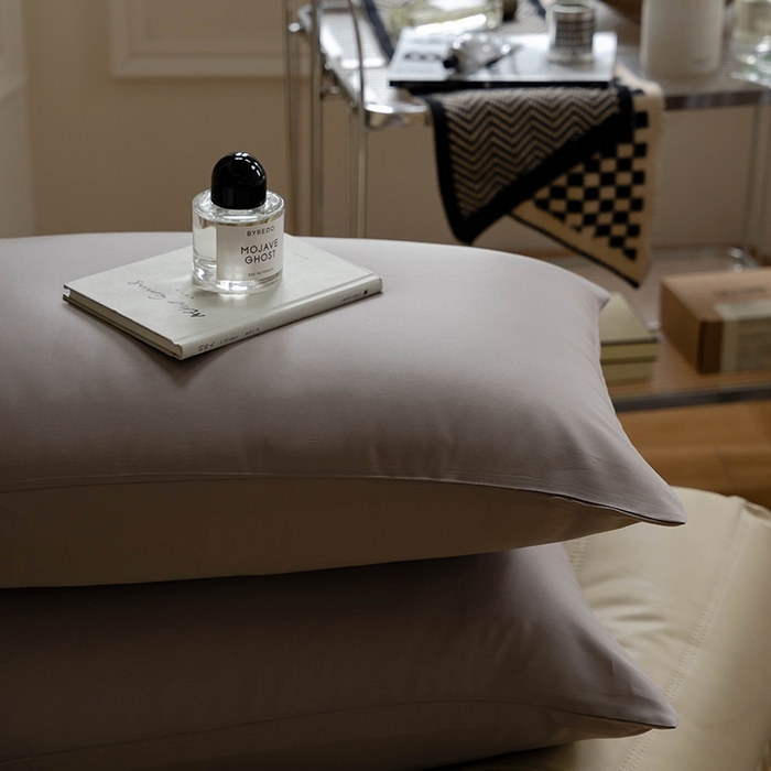 91家纺网 家纺一手货源 找家纺 咏绒家纺工厂店 2025新款60S奥地利兰精天丝轻奢系列-单床单 曙光银