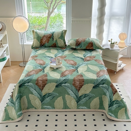 梦精灵 2025秋冬新款印花牛奶绒单床盖宽边加厚 莫奈