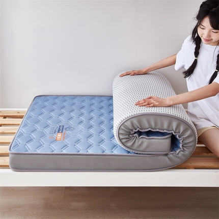 91家纺网 家纺一手货源 找家纺 （总）2025新款学生床垫-立体款（烫画）床垫