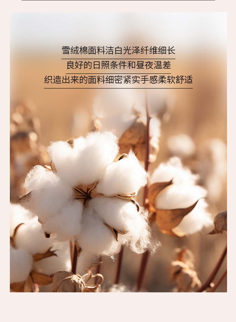 91家纺网 家纺一手货源 找家纺 （总）仁宇枕业 2025新款雪绒棉彩色水杯圆形糖果颈椎枕全荞麦壳头枕腰枕头枕芯