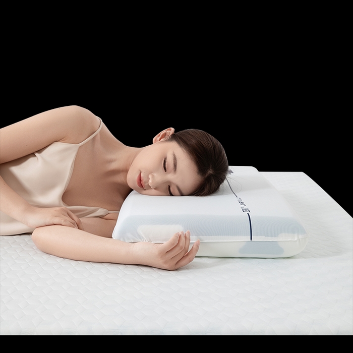 91家纺网 家纺一手货源 找家纺 （总）皇寝世家家居 2025新款pro深睡零压记忆枕-榫卯款