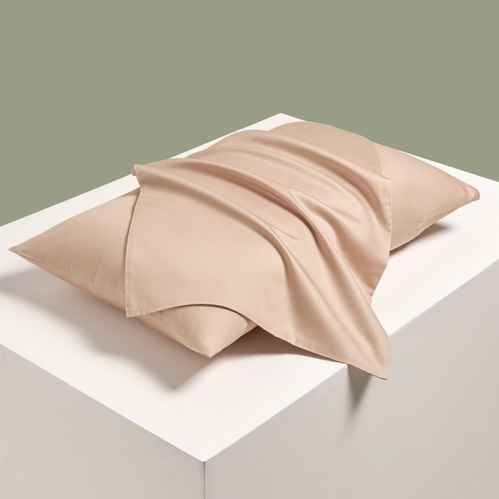 91家纺网 家纺一手货源 找家纺 闲鱼家纺 2025春夏新款小黑标60全棉纯棉四件套系列场景2 单枕套枕套单件 奶咖杏