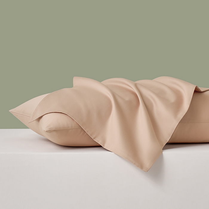 91家纺网 家纺一手货源 找家纺 闲鱼家纺 2025春夏新款小黑标60全棉纯棉四件套系列场景2 单枕套枕套单件 奶咖杏