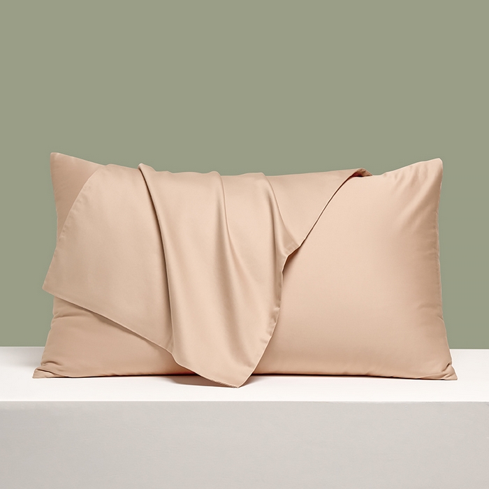 91家纺网 家纺一手货源 找家纺 闲鱼家纺 2025春夏新款小黑标60全棉纯棉四件套系列场景2 单枕套枕套单件 奶咖杏