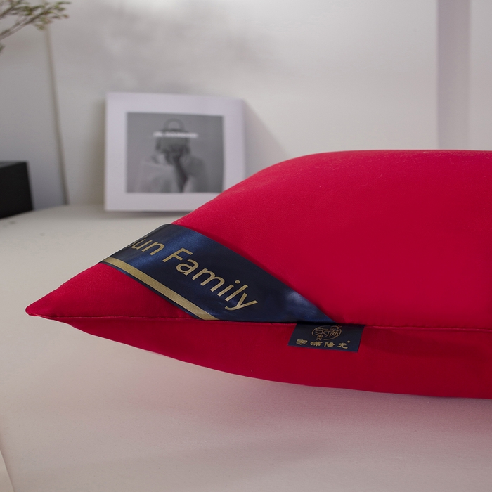 91家纺网 家纺一手货源 找家纺 佳合枕芯 2025家满阳光酒店款羽丝绒枕枕芯枕头 红色高枕1000g