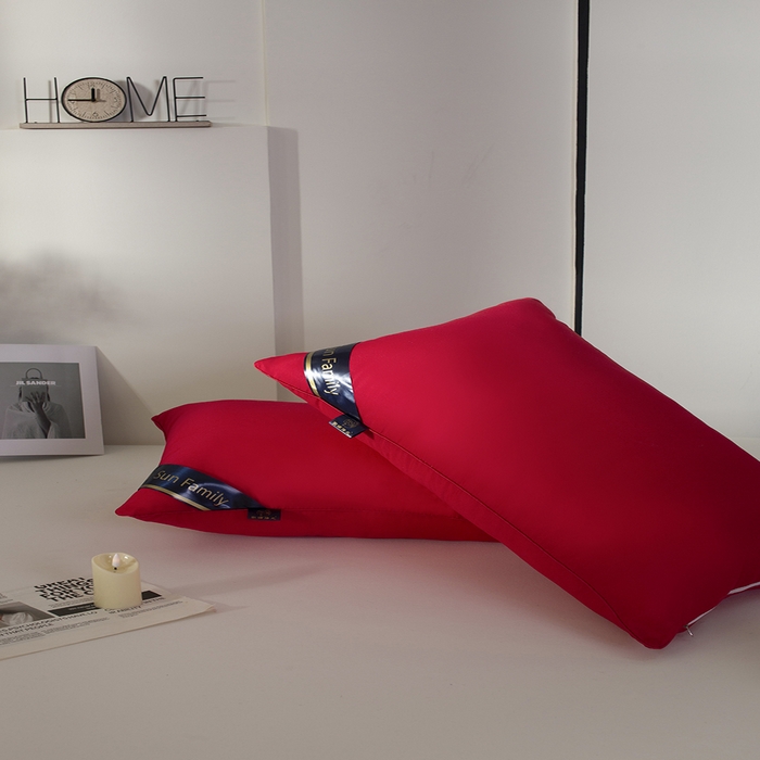 91家纺网 家纺一手货源 找家纺 佳合枕芯 2025家满阳光酒店款羽丝绒枕枕芯枕头 红色高枕1000g